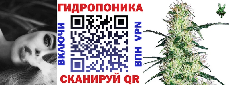 Магазины продажи наркотиков Няндома Кокаин  APVP  ГАШ  Меф мяу мяу 