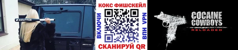 Cocaine Эквадор  купить закладку  Няндома 