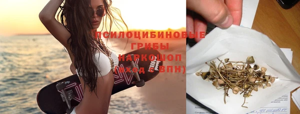 не бодяженный Арсеньев