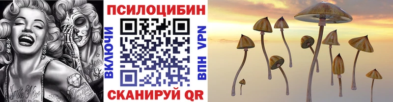 цена наркотик  Няндома  Псилоцибиновые грибы прущие грибы 